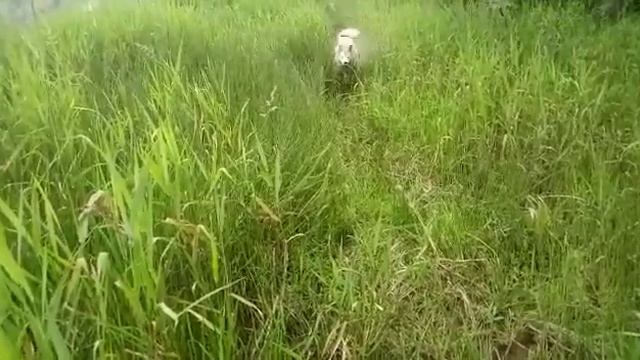 ЗСЛ СЕВЕР - Алтайский край