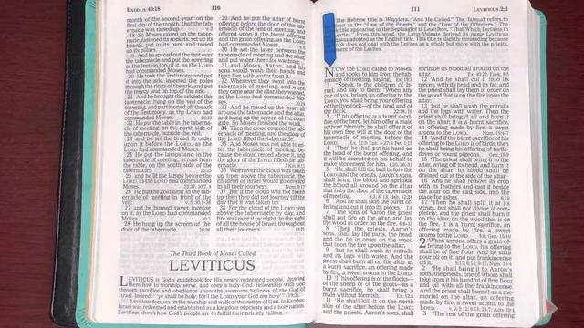 2/23/23, Psalm 61, 2Peter3:1-18, Leviticus 1:1- 2:16 Old and New Testament Readings смотреть онлайн