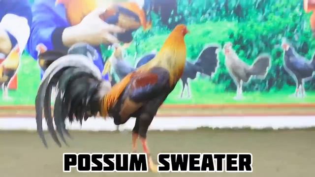 GOLDEN MONGKEY SWEATER - ANTONIO BURBURAN - GOLDEN DRAGON GAMEFARM смотреть онлайн