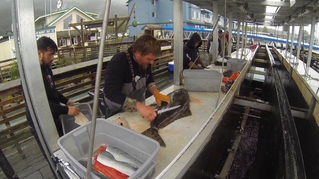 Как правильно разделать рыбу смотреть онлайн