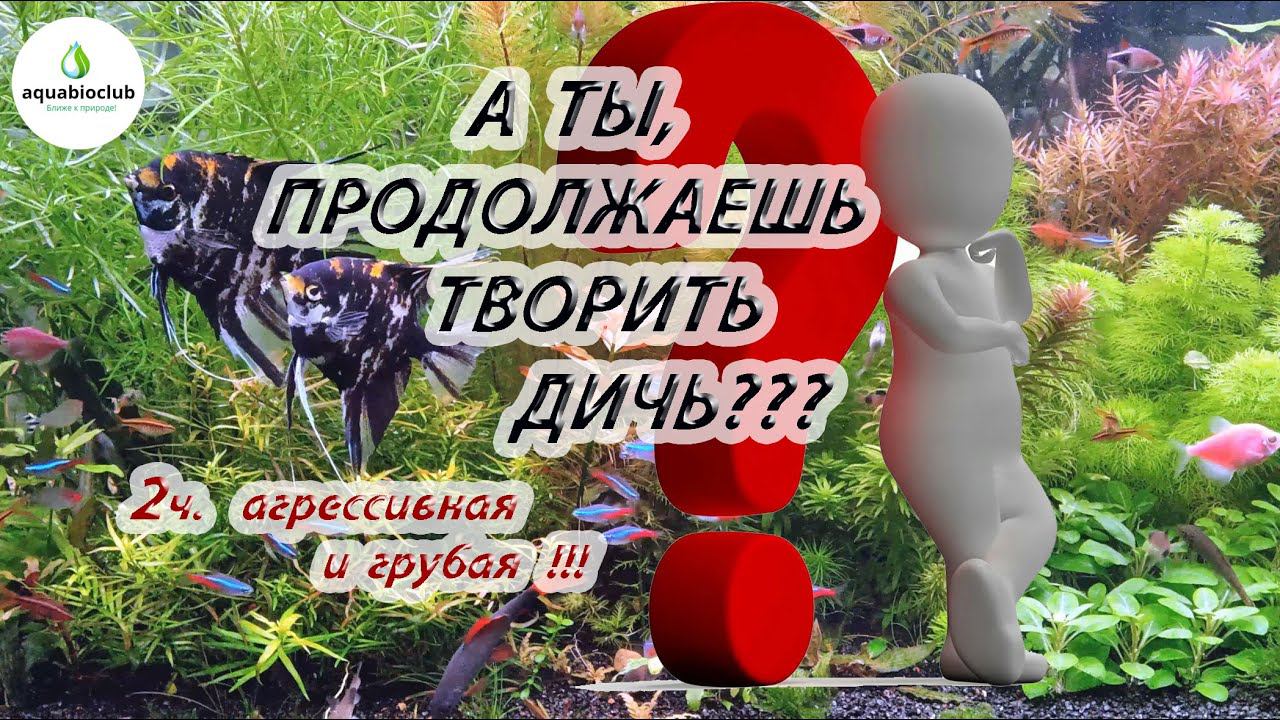 Самые частые и дичайшие ошибки аквариумистов. Мотивация к недопущению. смотреть онлайн