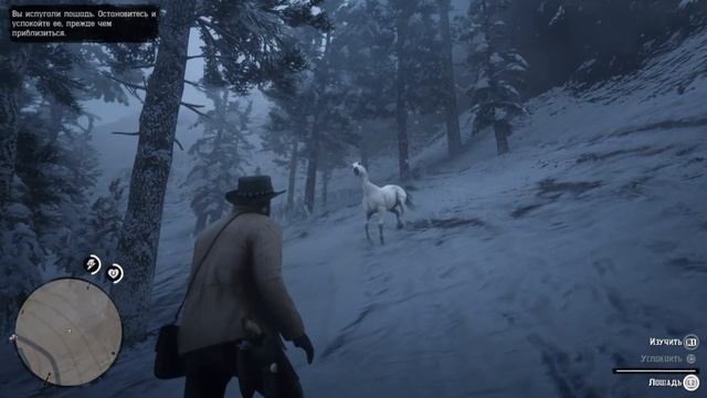 Red Dead Redemption 2. Как получить лучшую Лошадь в игре. смотреть онлайн