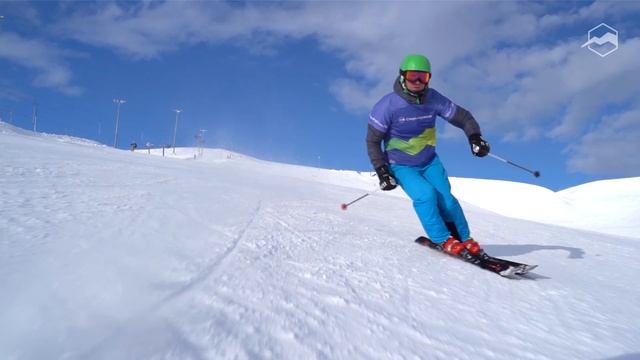 Горные лыжи Salomon Stance 80 2021-2022. Обзор смотреть онлайн
