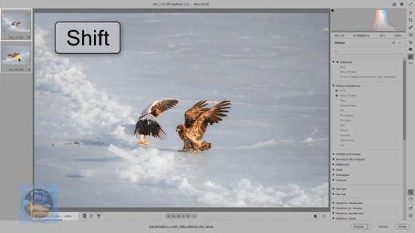 Продвинутый способ маскирования обработки снимка в Camera Raw и автоматический перенос масок