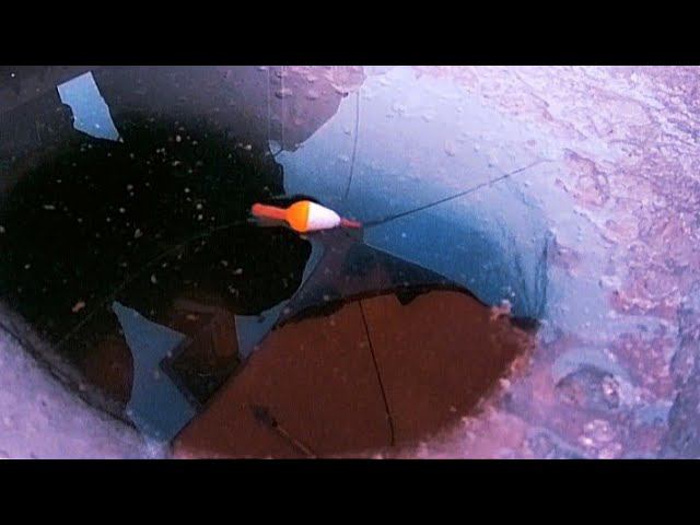 РЫБАЛКА С НОЧЁВКОЙ НА ЛЕЩА ! ЗИМНЯЯ РЫБАЛКА 2022 смотреть онлайн