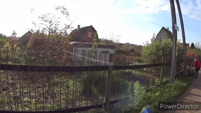 Батон и Карамелька идут с нами в магазин. На даче. Береза-97.Vlog.Брест смотреть онлайн
