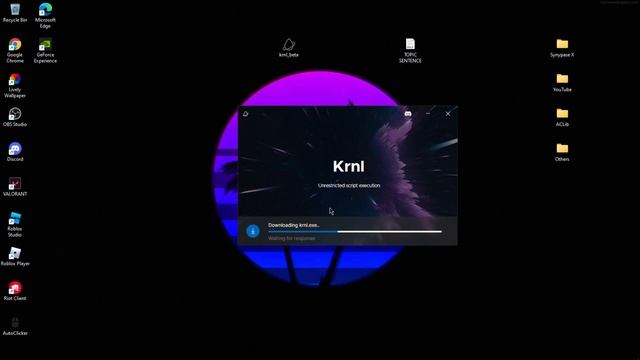 HOW TO DOWNLOAD KRNL BETA IN MAY 2022 WITHOUT GETTING ANY ERROR! смотреть онлайн