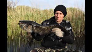 Ловля сома щуки окуня на снасть «бутылка» Часть 2