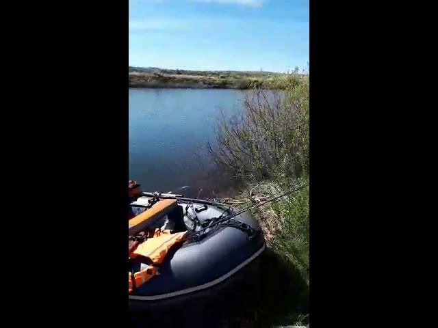 Отзыв из солнечного Казахстана о бортовых сумках смотреть онлайн