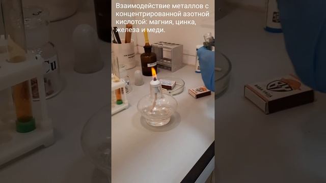 Металлы Mg, Zn, Fe, Cu c HNO3 конц смотреть онлайн