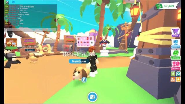 Adopt Me! Ugc Pet Refresh & Furniture! Ageing my Bloodhound (Roblox - Adopt Me) смотреть онлайн