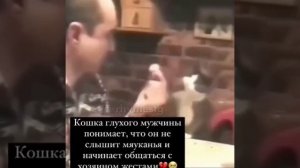 Кошка глухонемого