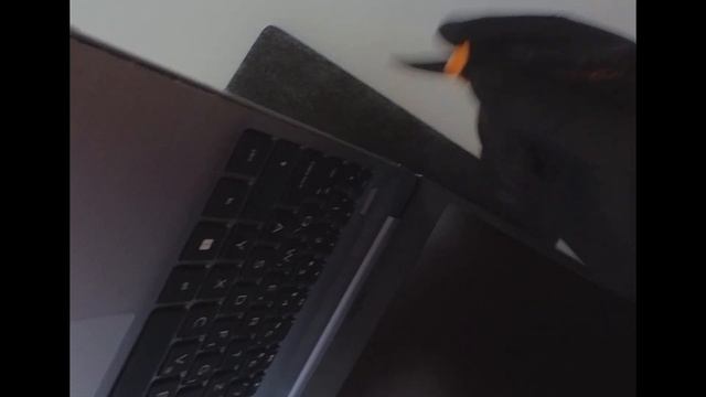 HP 250 G8 3A5W8EA rastavljanje i nadogradnja смотреть онлайн