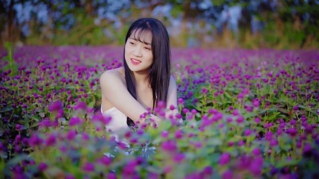 Can't Help Falling In Love Saxophone Mp3 Download 🎷Swing saxophone music 544 смотреть онлайн
