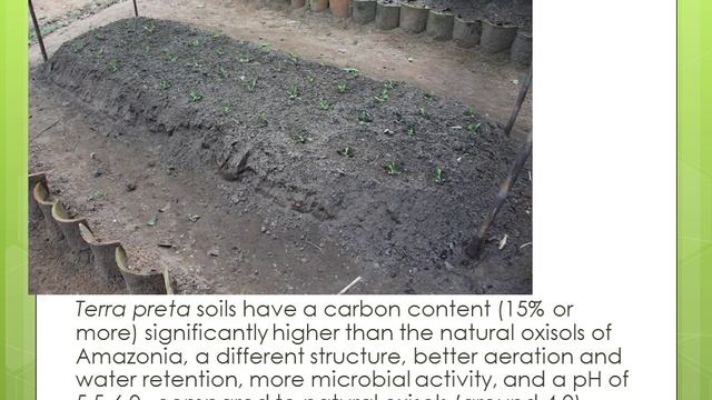 Creating 'terra preta' soils in High Amazon Peru - Jeremy Caradonna смотреть онлайн