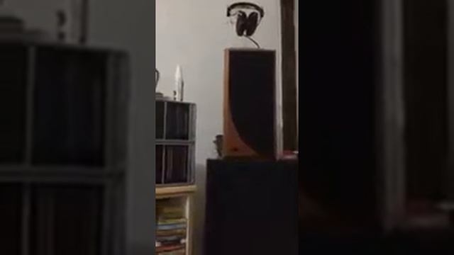 primare a20 mk2 & castle warwick 3(2) смотреть онлайн