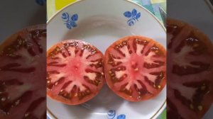 Томатный ГНОМ Малиновая Нерка в разрезе.Коллекционный сорт.