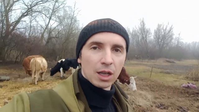 1000 подписчиков. Почему до сих пор так мало? смотреть онлайн