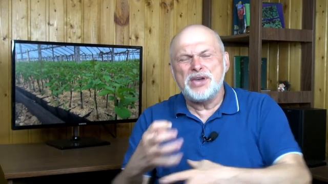 Секреты хранения и посадки саженцев весной смотреть онлайн