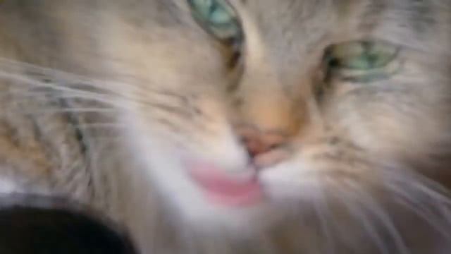 Модные DIY аксессуары