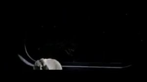 Лиловый Шар