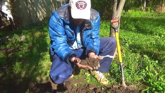 3 Помою самородок в стаканчике (1).mp4 смотреть онлайн