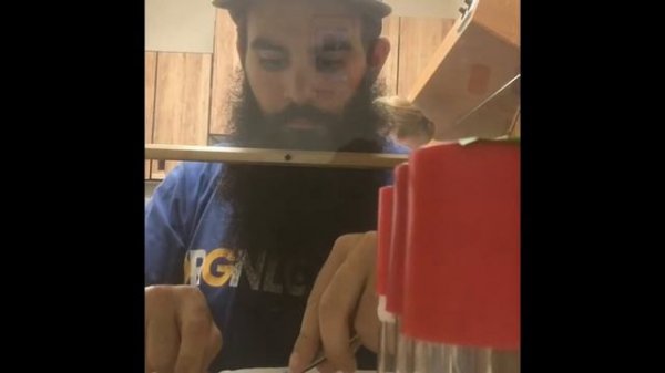 Gardenia Brighamii TISSUE CULTURE- subculture 10-4