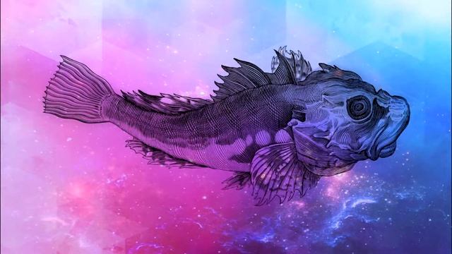Drawn fish footage. смотреть онлайн
