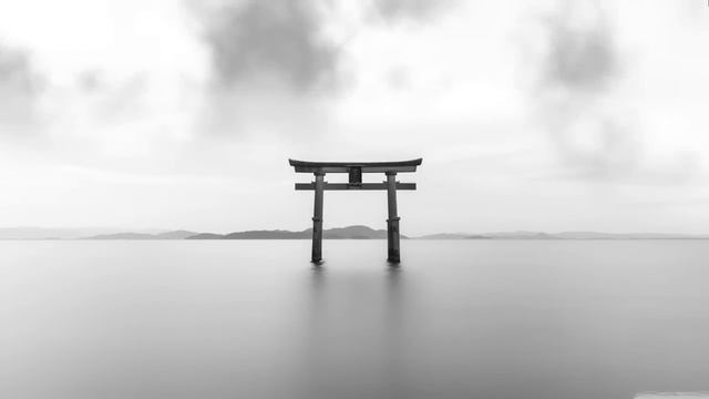 White and Black Wallpaper Engine 1 Hour смотреть онлайн
