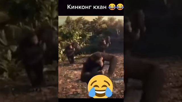 😂😂😂 танцы смотреть онлайн
