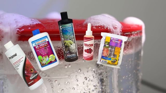 How to Stop Your Protein Skimmer from Overflowing смотреть онлайн