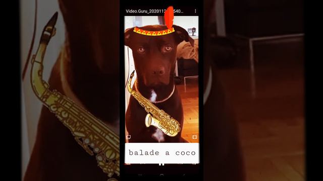 L'ete indien Joe Dassin saxophone смотреть онлайн