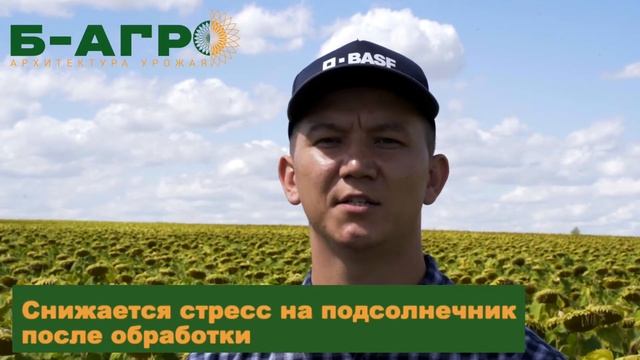 Преимущества производственной технологии CliearField Plus. Евро-Лайтнинг плюс смотреть онлайн