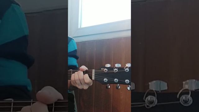 #акустика #звери #длятебя смотреть онлайн