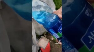 Обработка медным купоросом.