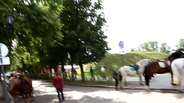 Суздаль - город музей. Город Суздаль, Владимирская область. смотреть онлайн