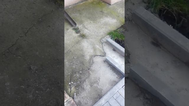 24.09.2022 ремонт по федеральной программе в Старом Осколе, мкр-н Солнечный, д 4. Для Прокуратуры. смотреть онлайн