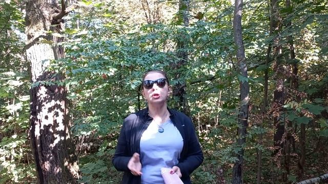 Как мы находим квартиры на 20.000 $ дешевле конкурентов? Самые выгодные продажи на сегодня! Турция. смотреть онлайн