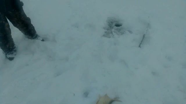 Нарезка новогодних рыбалок 2021! смотреть онлайн