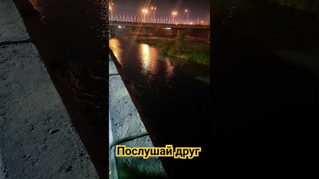 ❤️ Послушай друг - Цитаты #shorts смотреть онлайн