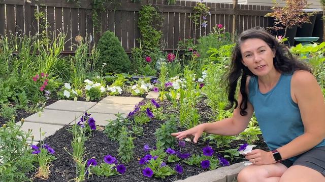 Which Petunia is Right for You смотреть онлайн