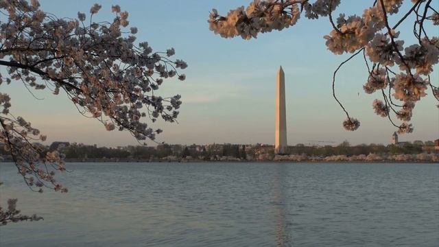 Washington DC | Capital Of The United States | Facts For Kids