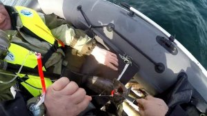 о. КИЛЬДИН. РЫБАЛКА в БАРЕНЦЕВОМ МОРЕ. Разнообразный улов.«Fishing at Kildin island. Diverse catch.
