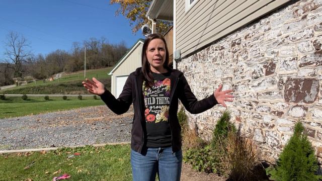 Planting Tulip And Allium Bulbs | EvrCrest