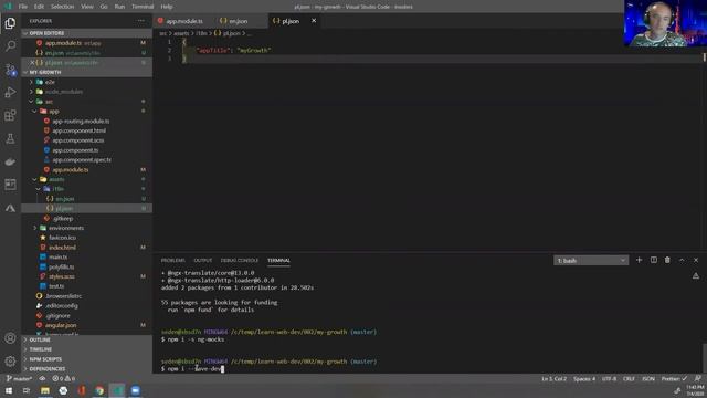 Setup Angular 10 project - Learn Web Dev #2 смотреть онлайн
