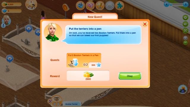 BUILDING MY OWN PET STORE - Wauies #1 смотреть онлайн