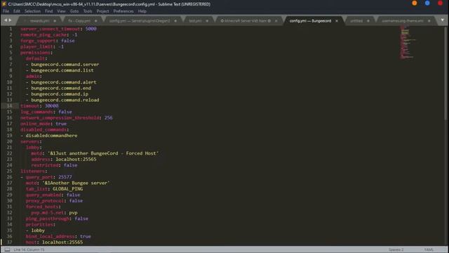 Hướng Dẫn Sử Dụng Bungeecord Liên Kết Các Server Với Nhau - Minecraft Server - 2020 смотреть онлайн