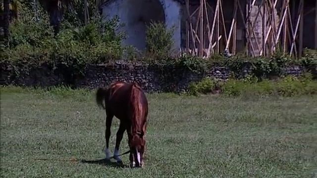 Abkhazia: Paradise In Limbo | Documentary Film