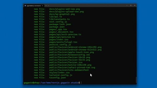 Начальные команды Git. Подключаем Гит в нашему проекту. Создаём репозиторий на GitHub