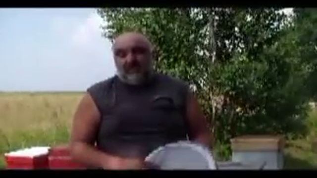 Хлорелла в пчеловодстве как действует БАД хлорелла на пчёл смотреть онлайн